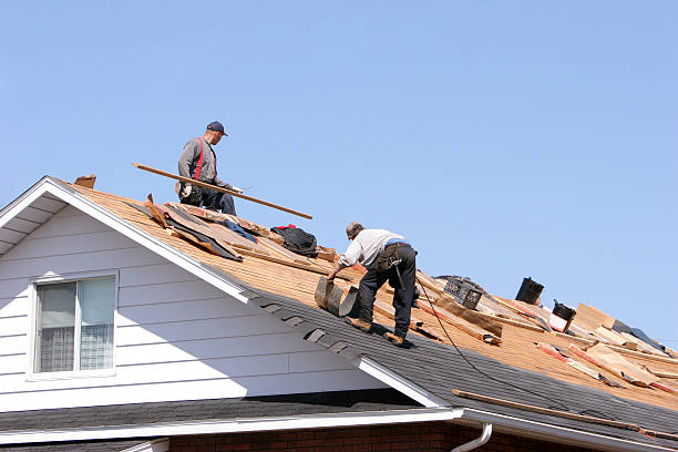 Best Asphalt Shingle Roofing  in Hearne, TX